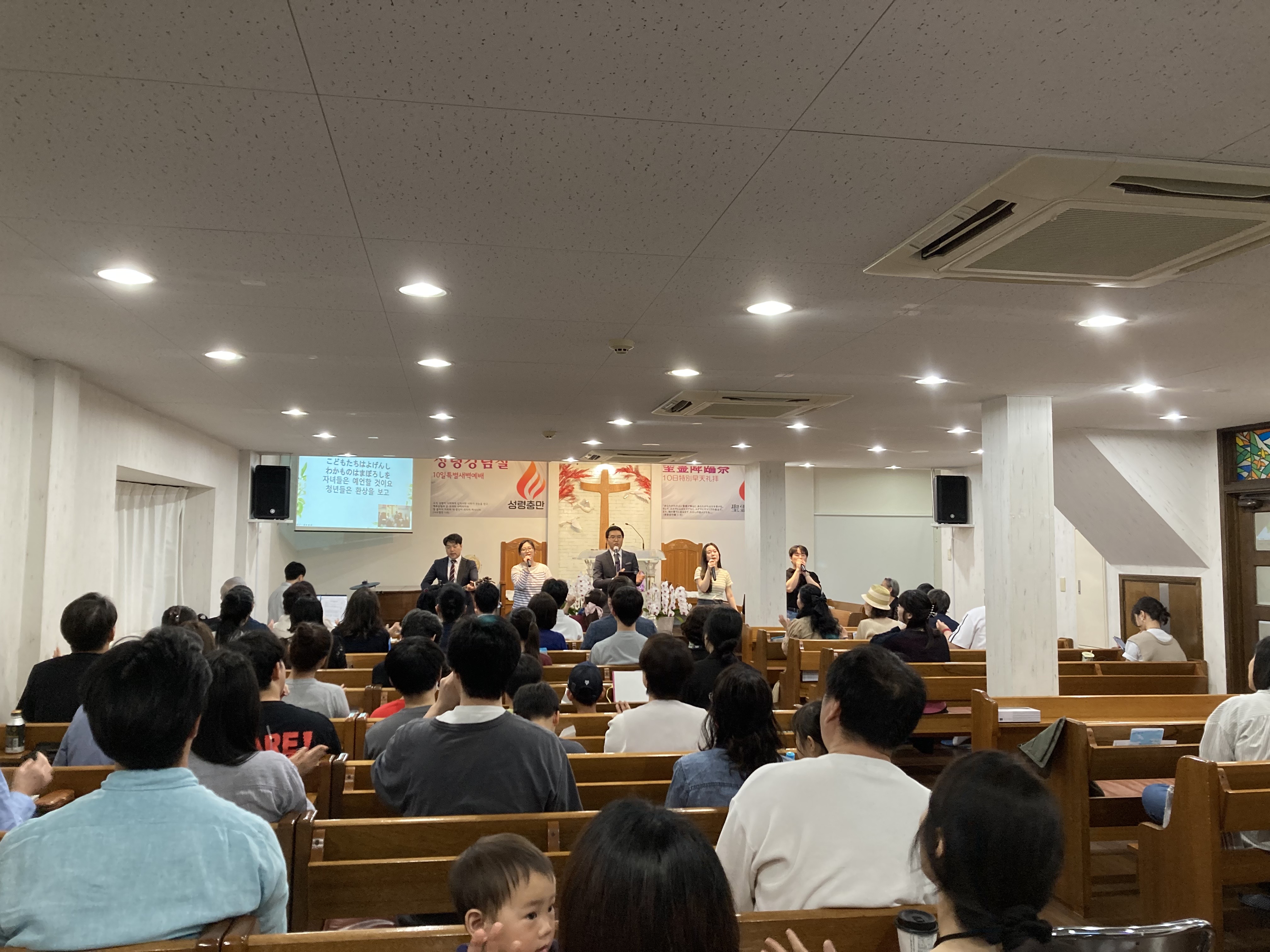 IMG_2818.jpeg