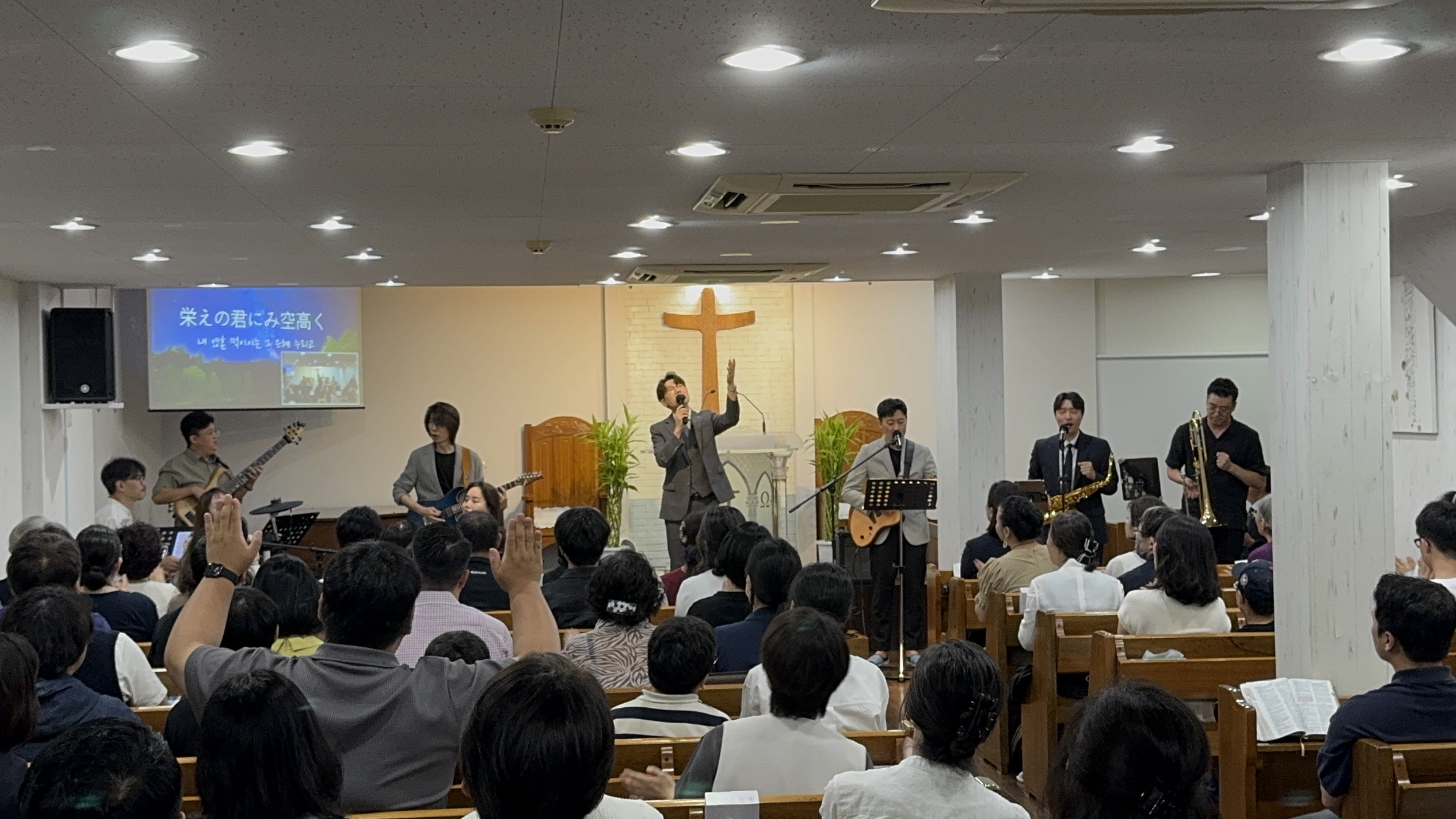 IMG_3987.jpeg